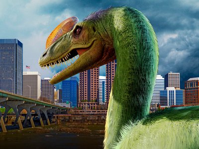 trex web1920x1080_.jpg