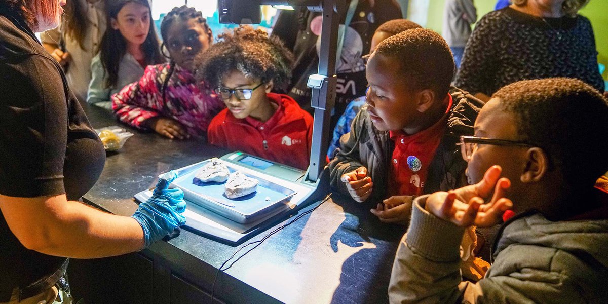 Children surrounding a dissected heart.