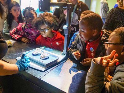 Children surrounding a dissected heart.